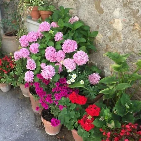Zauber Im Turm - In Einem Der Schoensten Doerfer Daire Montemerano